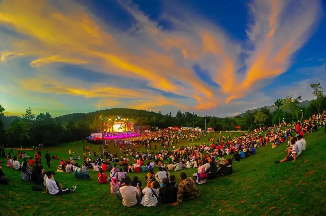 出门随处见绿，身边处处成景！看个旧如何实现“转型逆袭”→