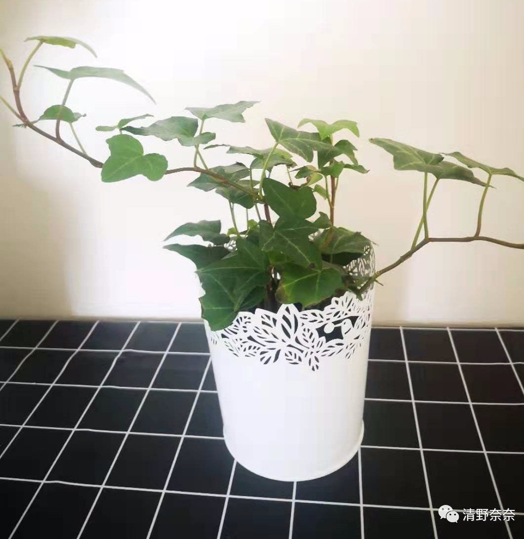 闲逛宜家，我发现两张毛爷爷居然能买到19件10元家居好物