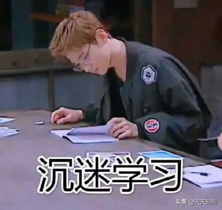 狗狗也有空调病,狗得空调病的症状