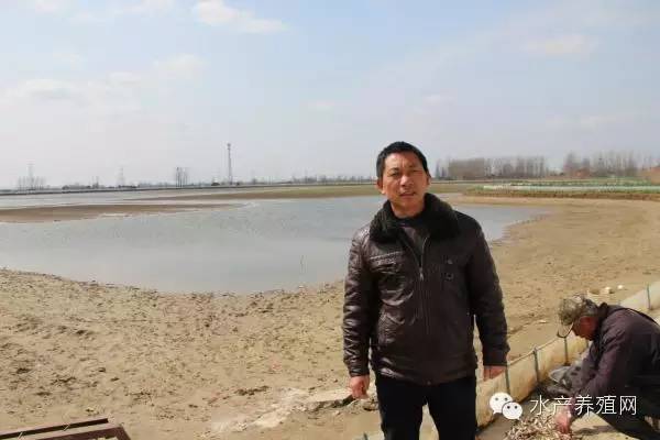 螃蟹养殖最新技术视频,大闸蟹养殖技术方法和步骤