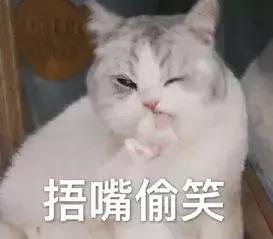 大人陪孩子玩的游戏有哪些推荐,陪5岁孩子在家里玩什么游戏