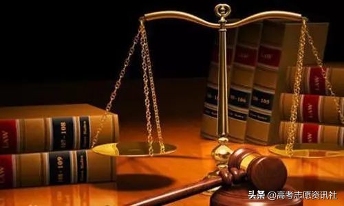 法学就业率低为什么还是热门专业,法学就业率为什么这么低