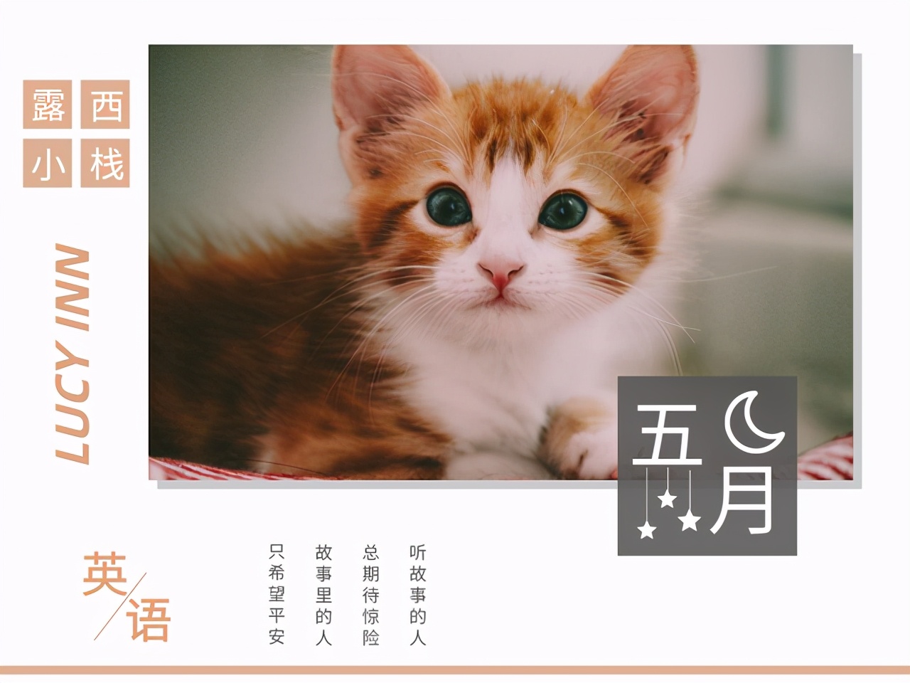 大雨不是暴雨下一句怎么接,大雨为什么不叫bigrain