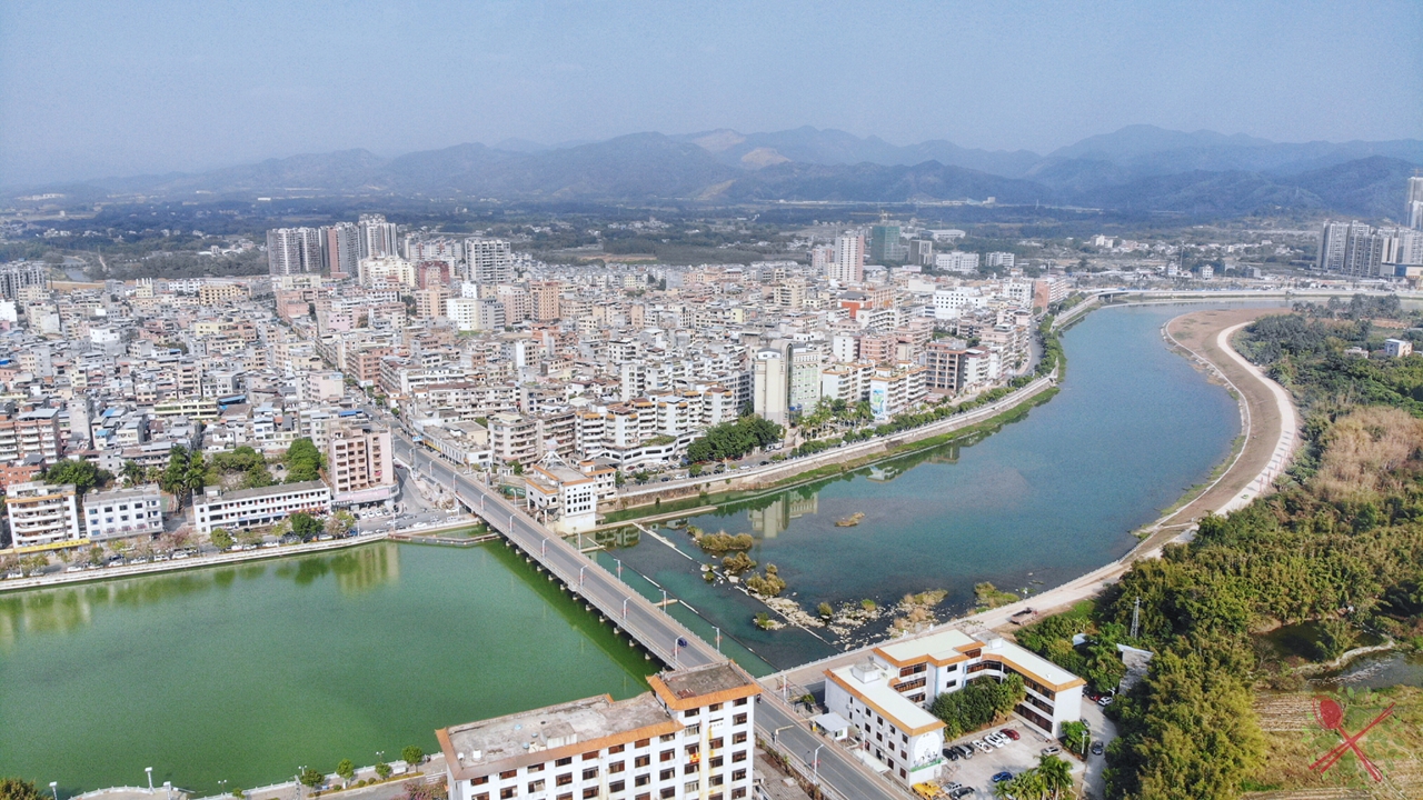 广东人过年必吃的青菜,广东人年夜饭必有的一道菜