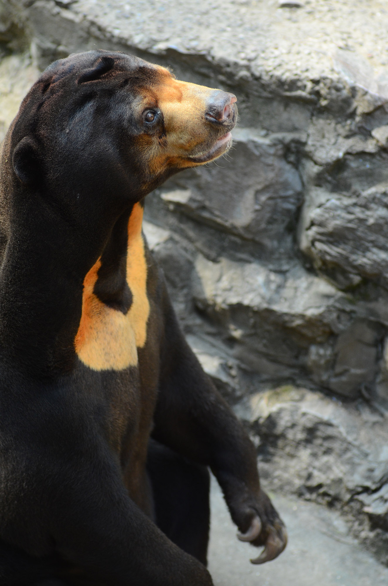 尼康d7000拍摄画面暗怎么调亮,尼康d7000和d700画质对比