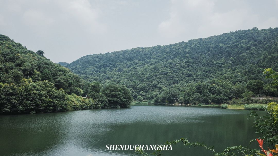 长沙岳麓区适合一个人去的地方,五一长沙岳麓区哪里好玩