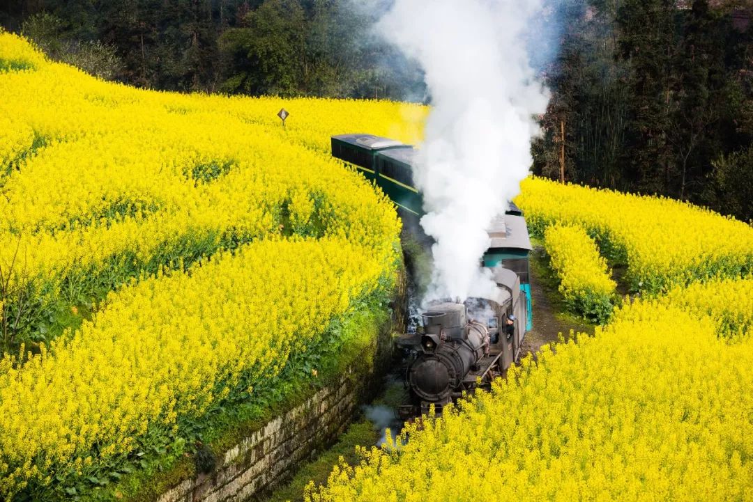 太美了开往春天的列车,这些开往春天的列车简直美呆了