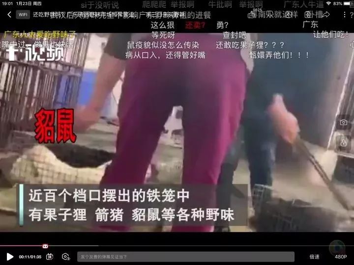 从疫情管控到放开,远离病毒从野味开始