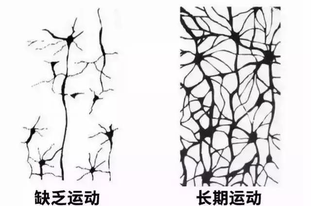 孩子学不进去是不是心理问题,孩子学不进去就不学了