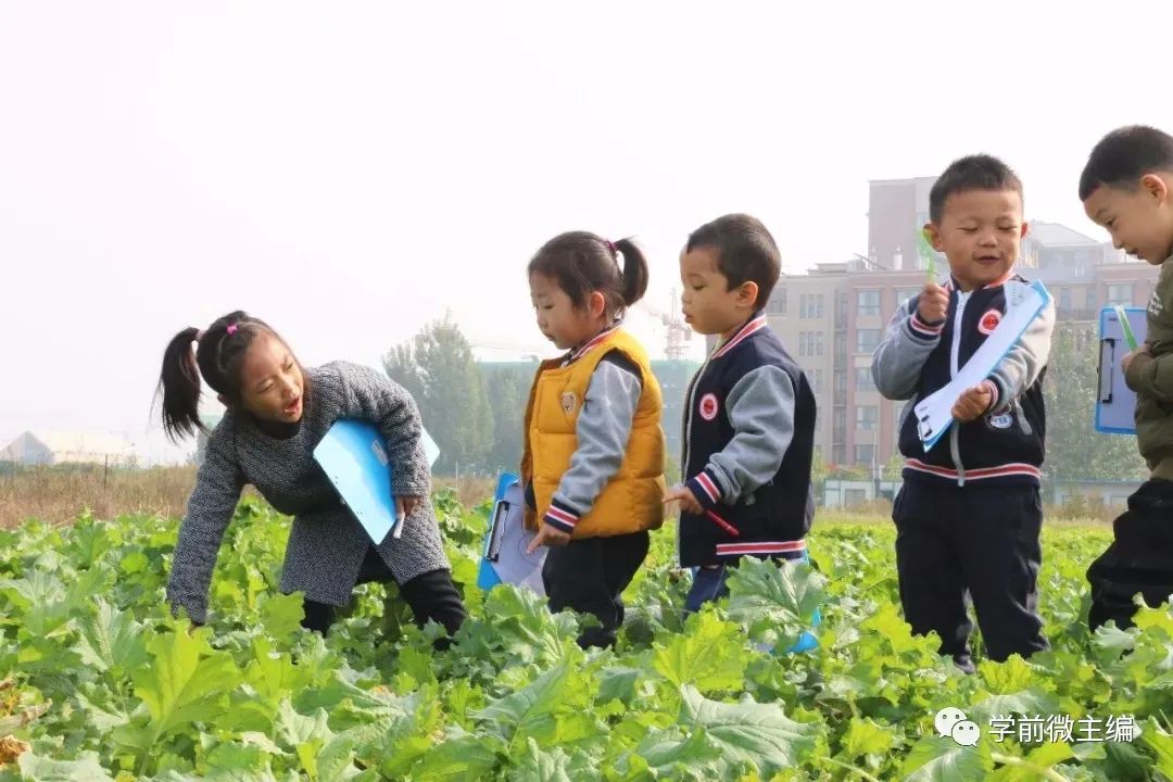 河南建业小哈佛国际幼儿园,河南比较好的幼儿园