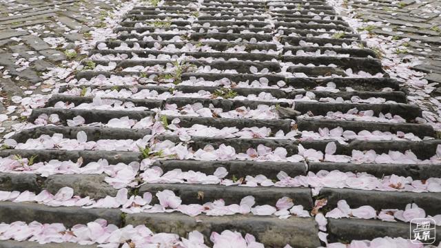 上海国庆免费景点推荐,上海值得去的免费景点旅游攻略