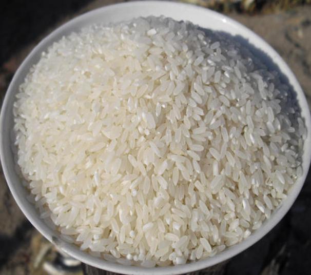 怎么防止大米不长虫和发霉,大米怎么存放不发霉不长虫