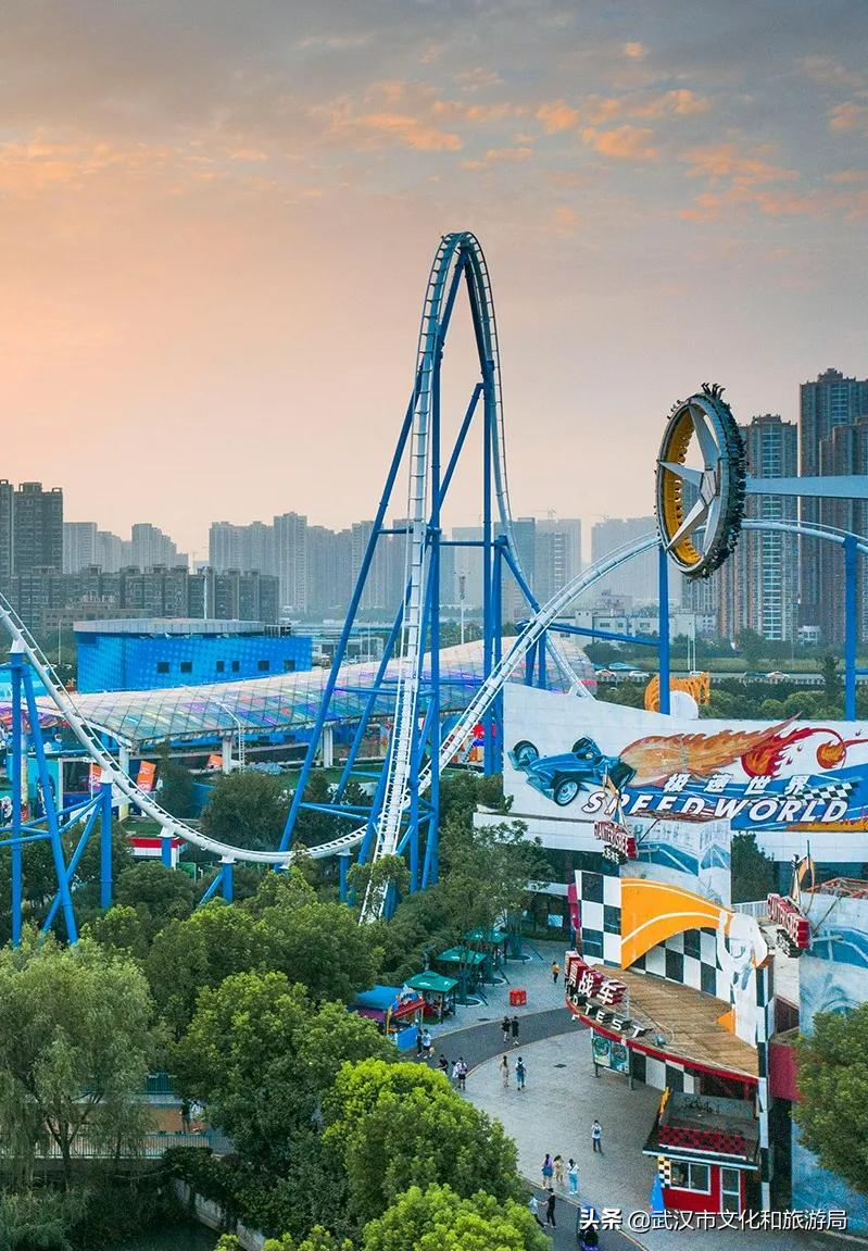 花young官方购票,花young套餐29元103g联通