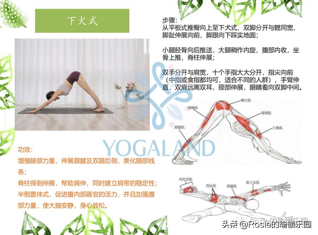 瑜伽小白如何在家自己练瑜伽,瑜伽零基础入门的基本体式有哪些