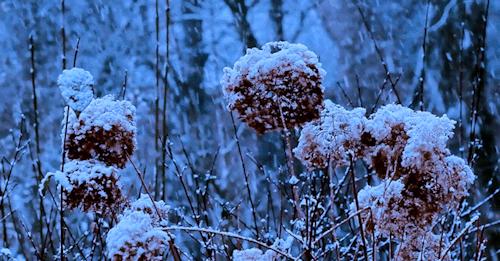 他是珠宝界的叛徒，但一件珠宝就能卖600万