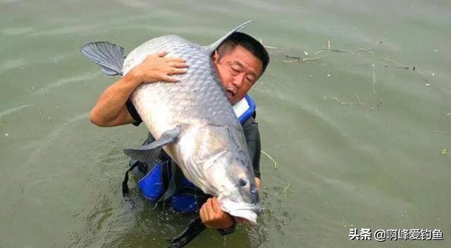 钓鱼大师都用什么装备打,钓鱼的大师和他的装备