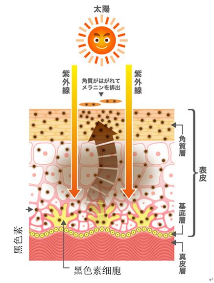 祛痣后吃了辣椒和牛羊肉,祛痣后吃了酱油和姜怎么办