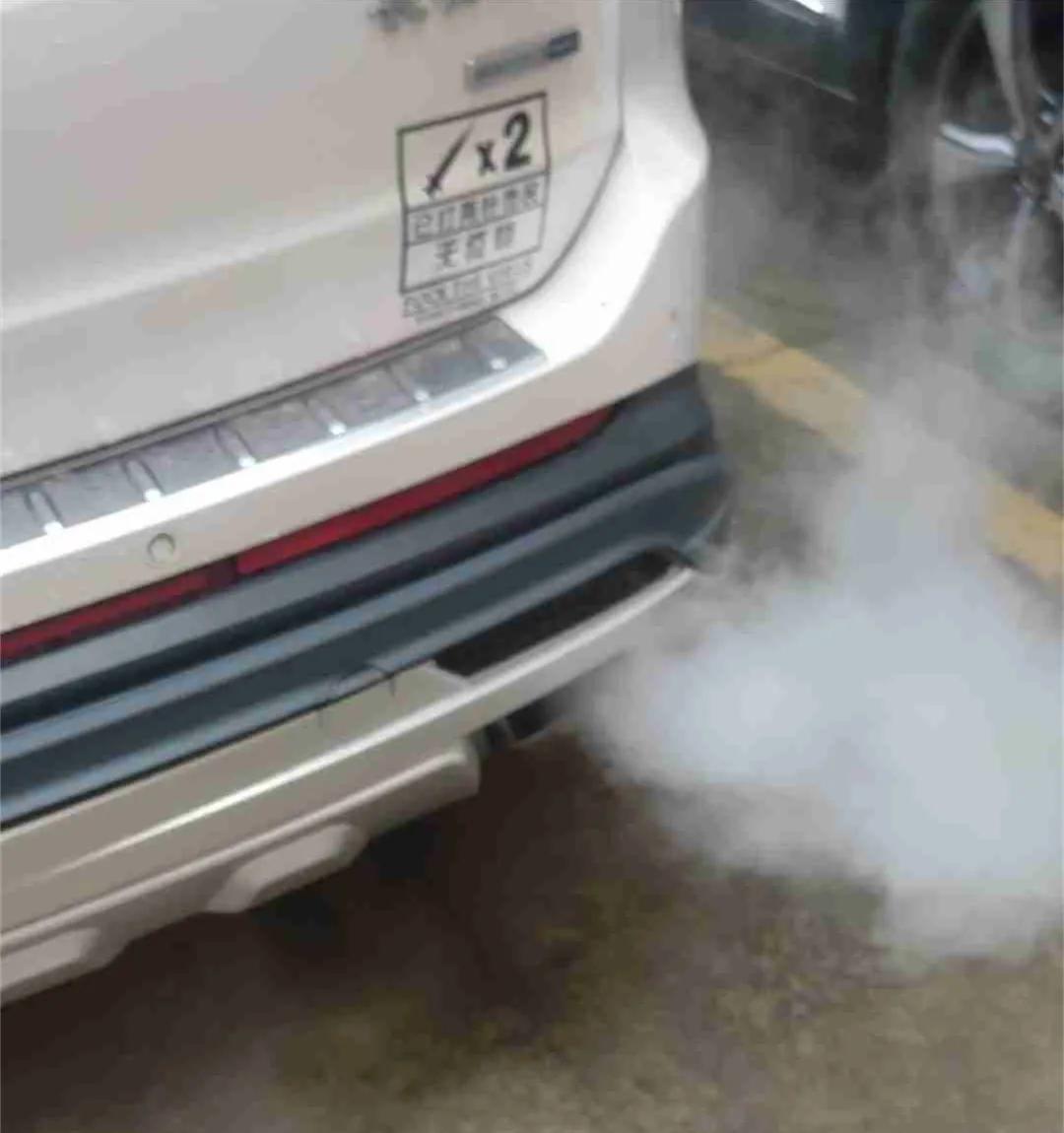 冷车启动怠速抖动并冒白烟,冷车启动发动机抖动尾气有味