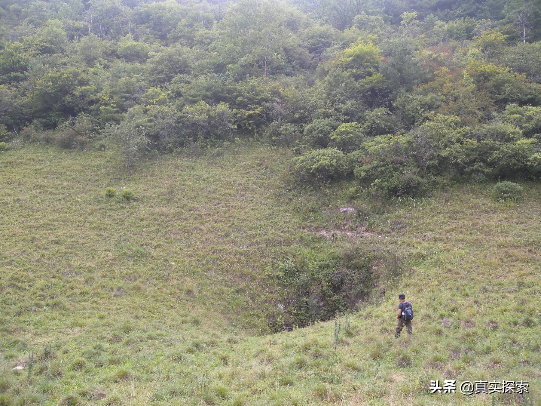 南漳老龙洞天坑视频,南漳县茅坪村老龙洞