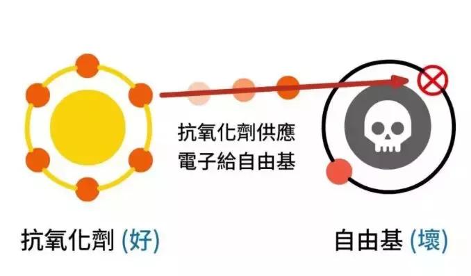 钻石抗衰,钻石抗衰老