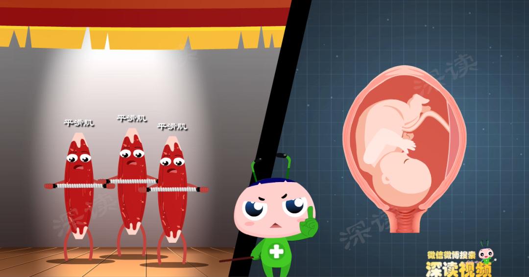 乖乖女竟得宫颈炎?宫颈炎就是淋病?动漫揭秘宫颈炎发病机制!燃