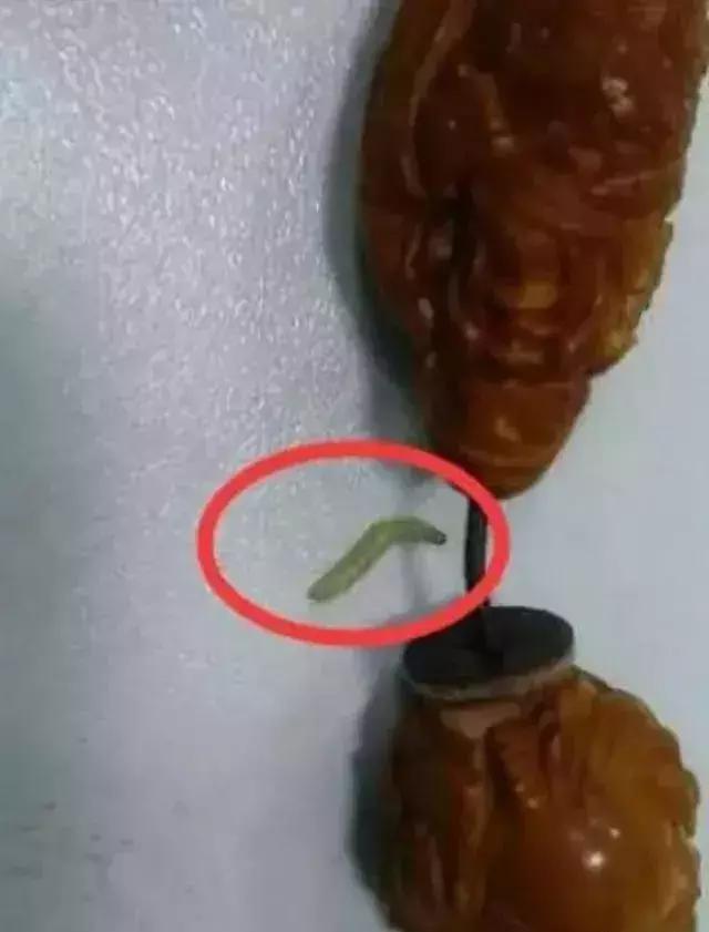 菩提手串掉色有毒吗,菩提手串生虫