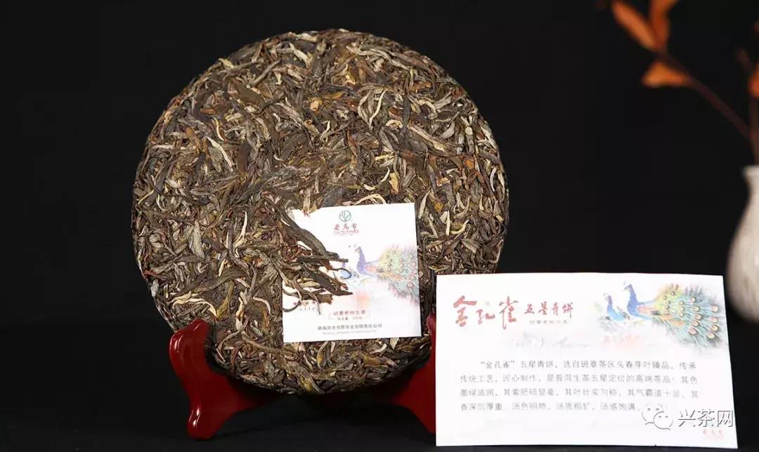 孔雀之美，顺势而赢老马帮即将推出的“金孔雀”有何创新之处？