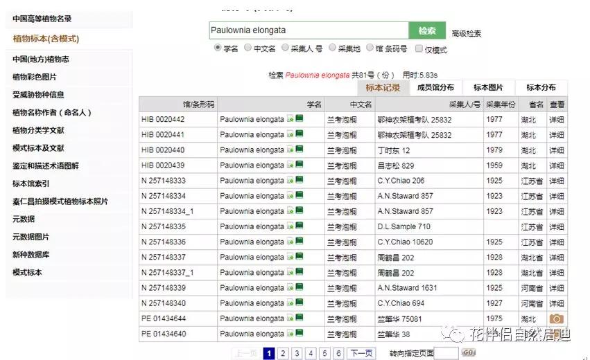 植物检索网站官网,植物检索表100种