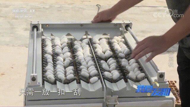 高效蚕茧脱茧机,养蚕取茧机器多少钱一台