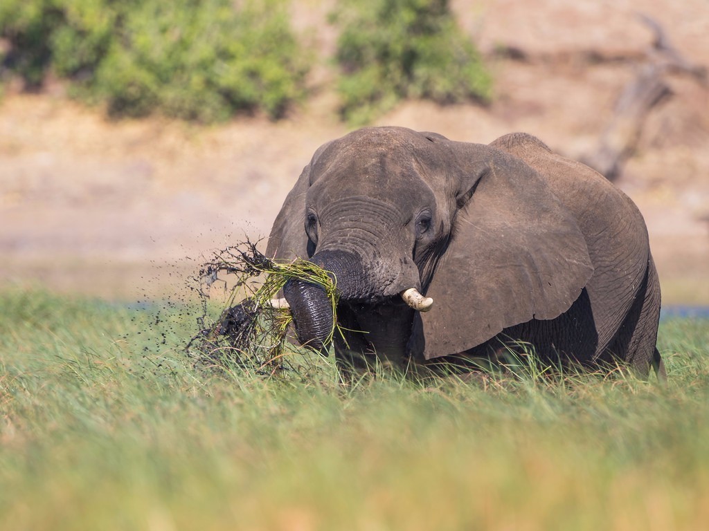 遇到很多挫折怎么调整心态,遇到挫折总是想逃避怎么办