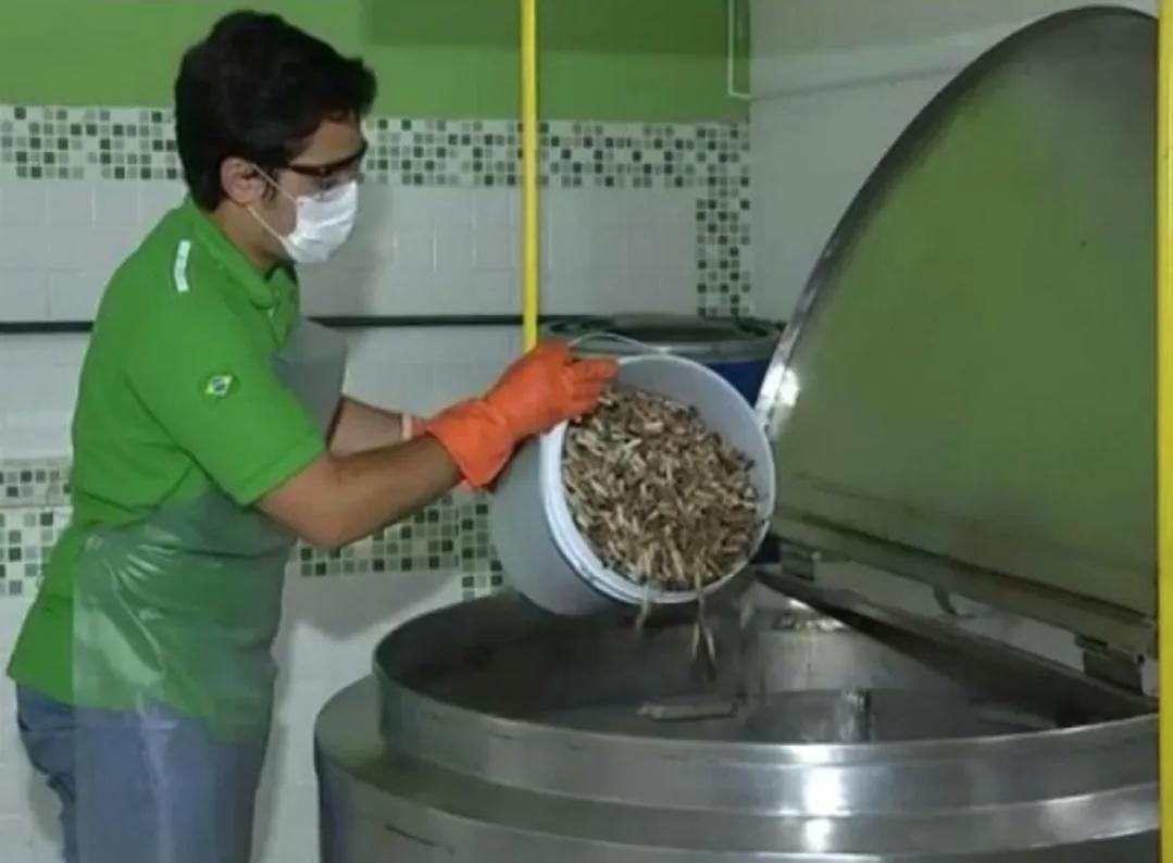 你知道回收烟头有多值钱吗,回收烟头月入过万