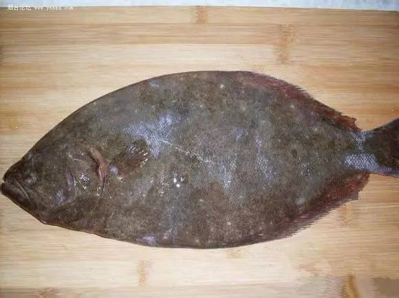 史上最全海鲜视频,史上最全海鲜贝类大全