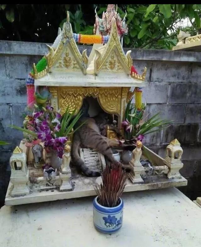 我，我让你买一斤你敢答应吗？