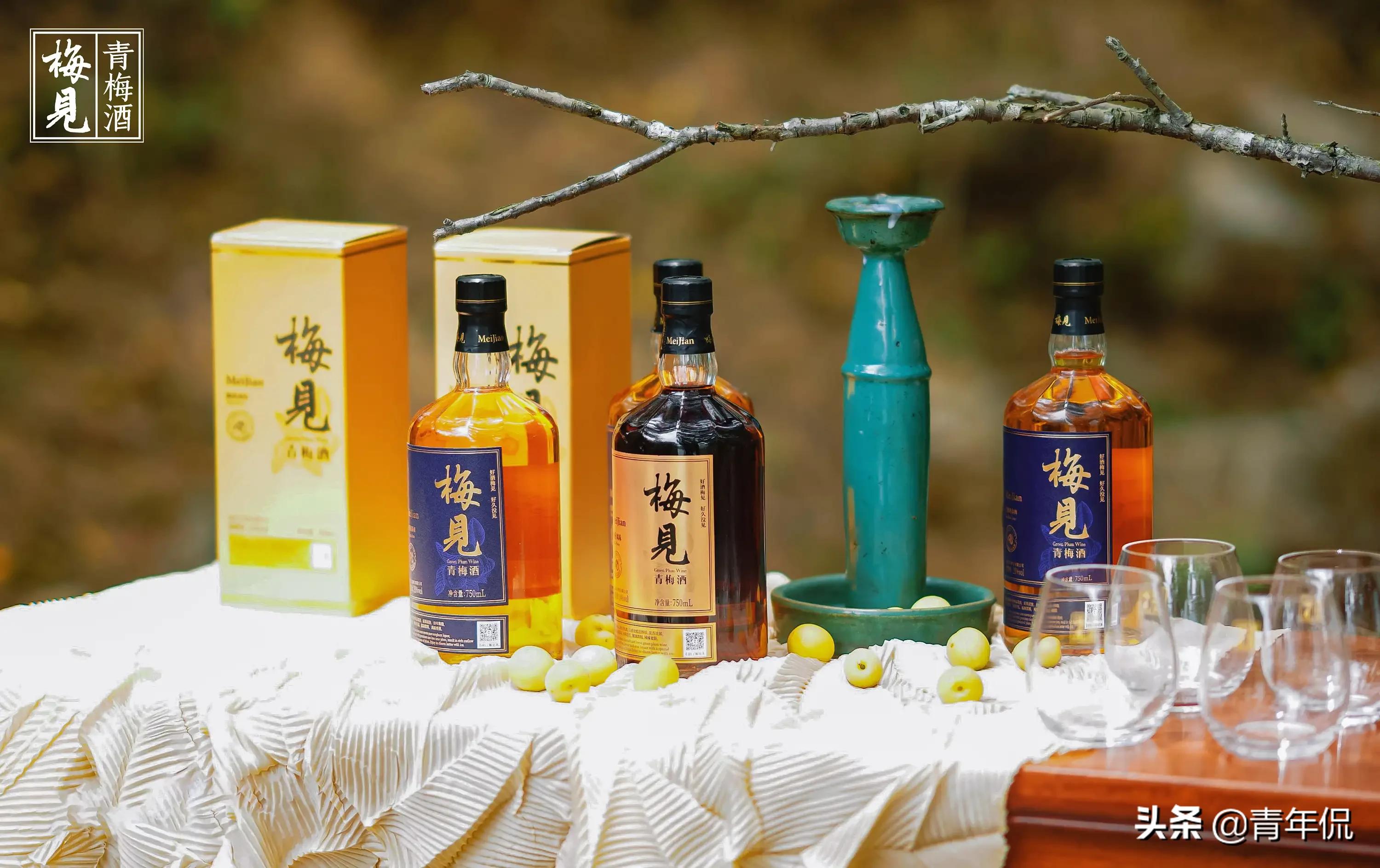 年轻人喜欢的果酒,年轻人为什么喜欢饮料