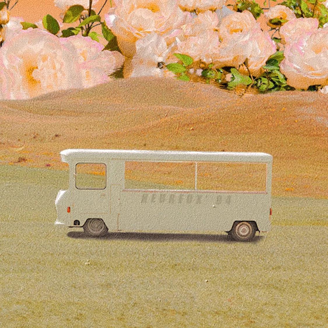 甜宠文专一深情,甜宠文控制欲小说推荐