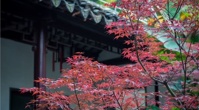 江苏园林旅游攻略,江苏有哪些免费园林景区