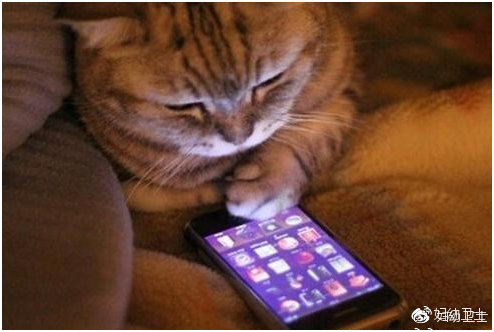 保巢口诀——天下女性的福音