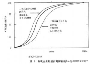 呼吸衰竭的分型有,呼吸衰竭的分型及标准