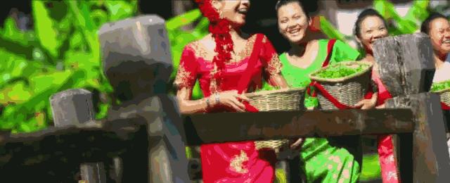 来版纳感受一下不一样的风情,来版纳旅游