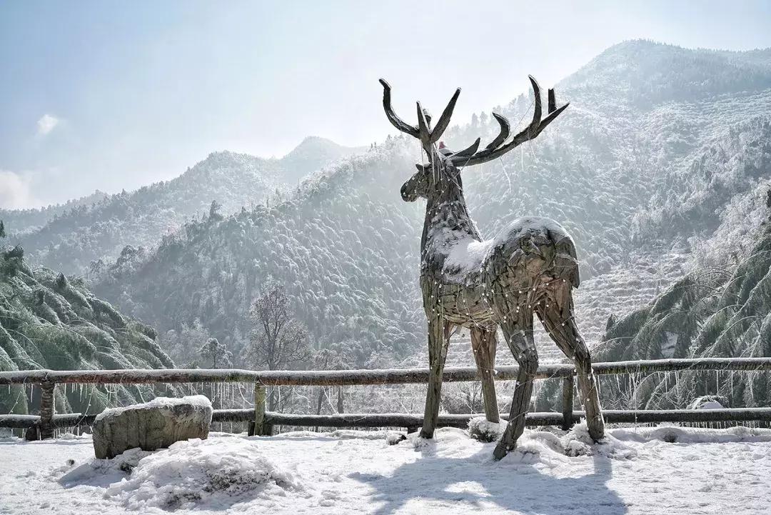 一家三口春节7天旅游民宿,春节去哪里民宿玩推荐一下