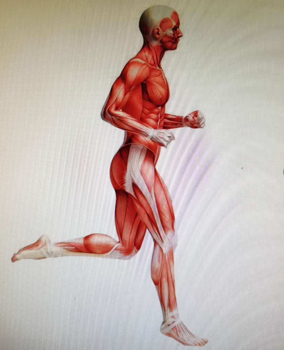 中医说筋膜炎,我得了筋膜炎怎么治疗