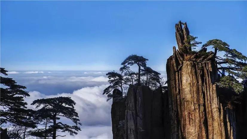 旅游景区网络营销常用方法,旅游景区怎么网络推广