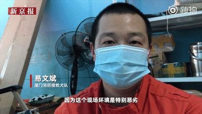 一只叫贝贝的斑点狗,有一只狗叫贝贝视频