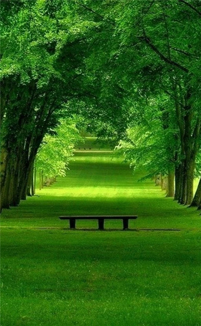 缓解眼睛疲劳动态图壁纸,好看的手机壁纸护眼高清图文