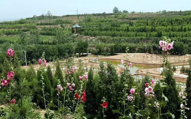 大荔县示范村名单,大荔县10个村