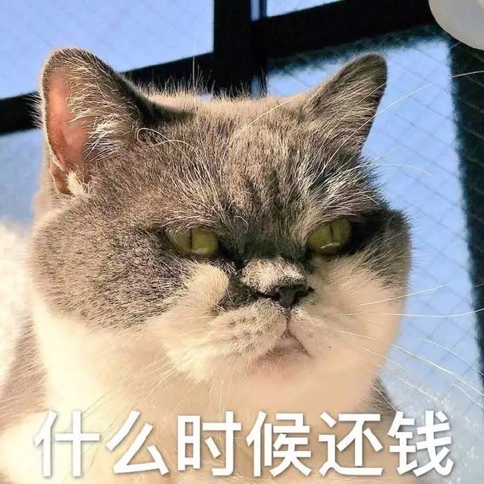 要欠债还钱的表情包,有了钱搞笑表情包