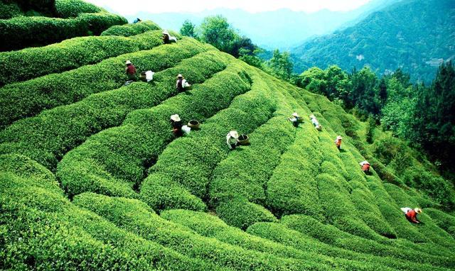 海南自驾西线旅游美食,海南环岛自驾游美食攻略详细行程