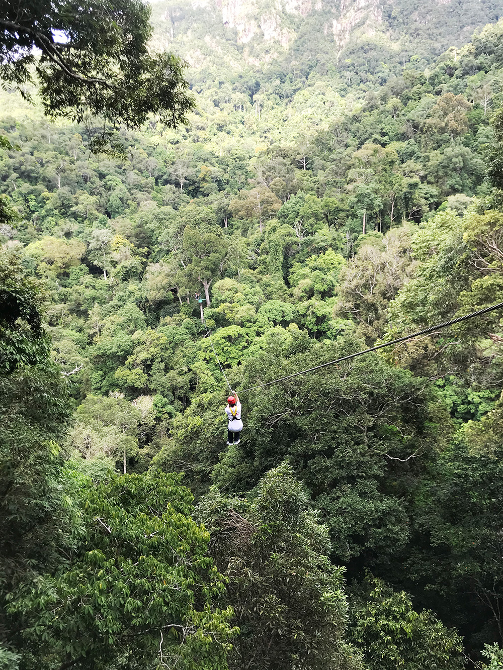 在马来西亚感受集市的乐趣,在马来西亚体验纽西兰