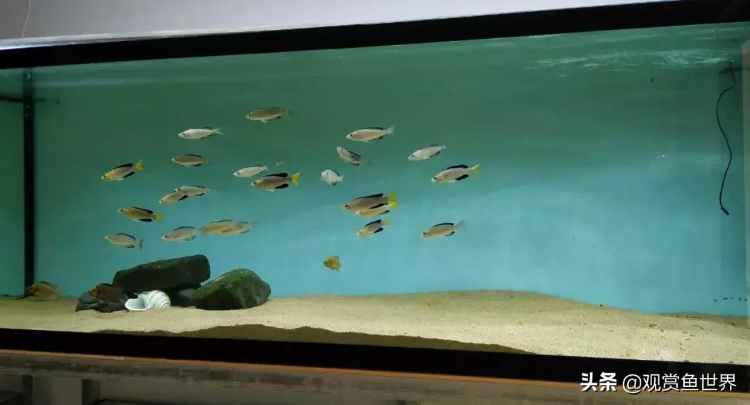 梦想的三湖世界持续建设中……方位:中国天津