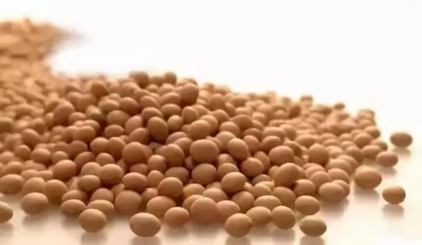 外地亲家来连云港送什么特产呢,外地人回连云港必买的特产